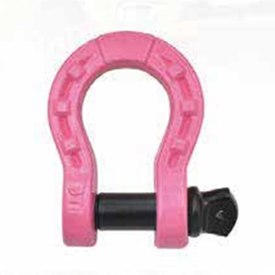 Customized 8T Horseshoe Shackle 