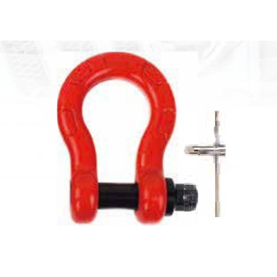 Customized 10T Anti Theft Shackle